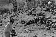 Early_Mexico_009